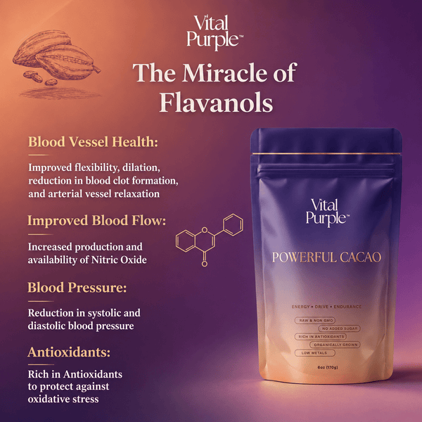 Organic High Flavanol Cocoa Powder | Purple Cacao Powder | 25% Fat - Vital Purple