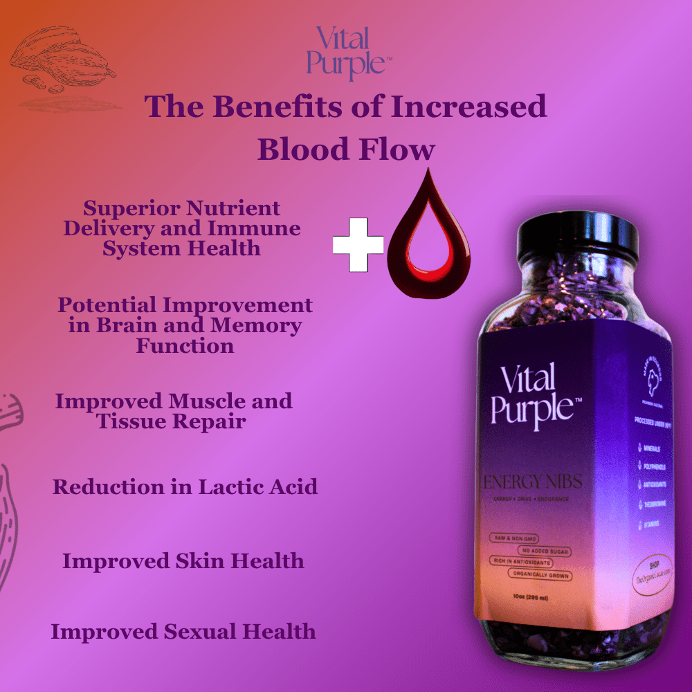 Organic High Flavanol Cocoa Powder | Purple Cacao Powder | 25% Fat - Vital Purple