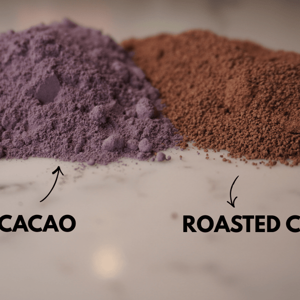 Organic High Flavanol Cocoa Powder | Purple Cacao Powder | 25% Fat - Vital Purple