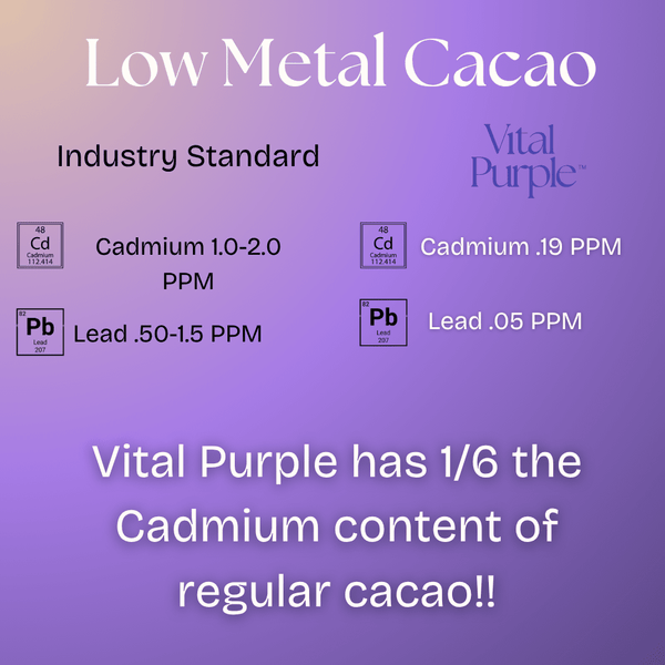Organic High Flavanol Cocoa Powder | Purple Cacao Powder | 25% Fat - Vital Purple