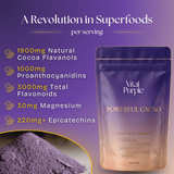 Organic High Flavanol Cocoa Powder | Purple Cacao Powder | 25% Fat - Vital Purple